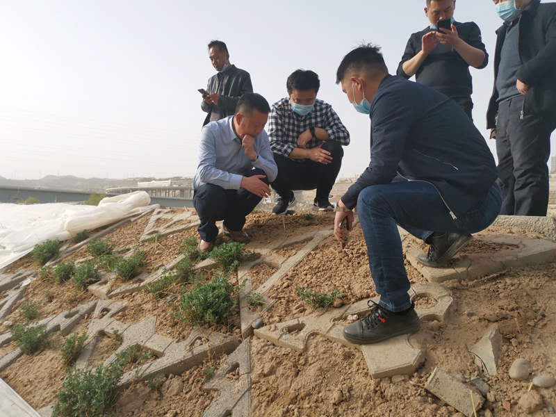 網(wǎng)站.jpg 網(wǎng)站.jpg