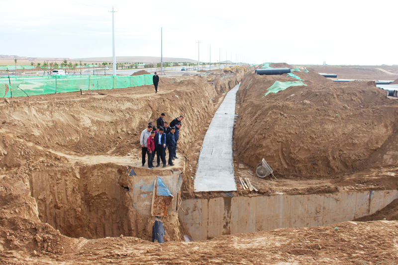 IMG_0736.jpg IMG_0736.jpg